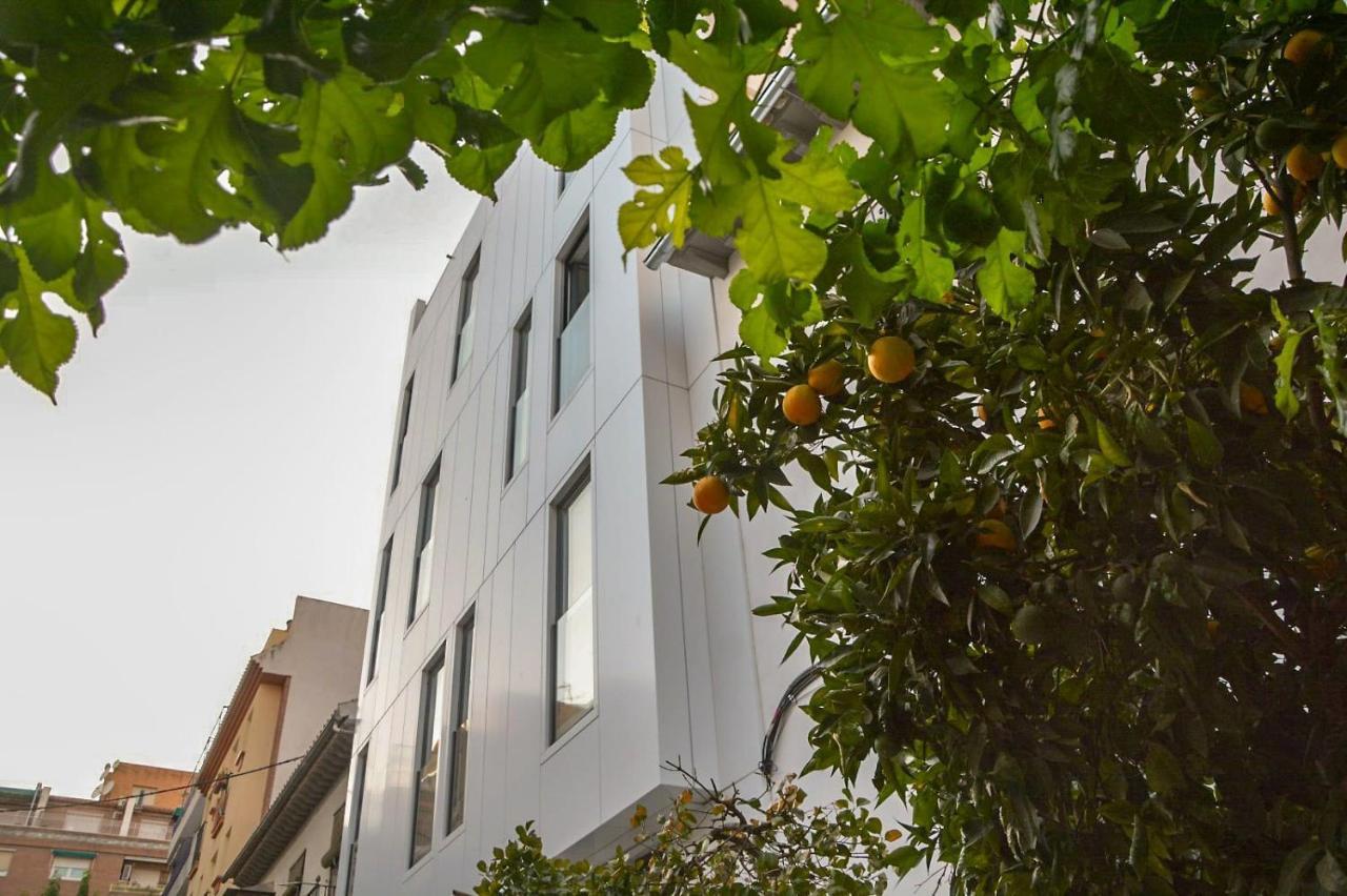 Broz Hostel غرناطة المظهر الخارجي الصورة
